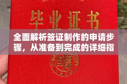 东凤全面解析签证制作的申请步骤，从准备到完成的详细指南