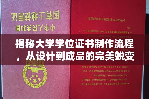 东凤揭秘大学学位证书制作流程，从设计到成品的完美蜕变