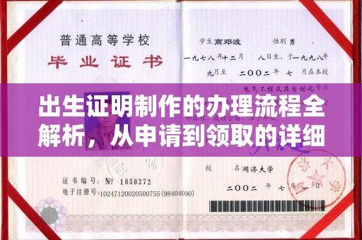 东凤出生证明制作的办理流程全解析，从申请到领取的详细指南